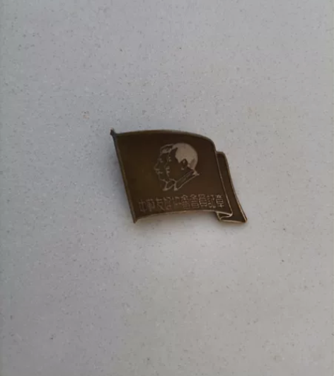 五十年代初中苏友好协会会员证章,见证了那个...