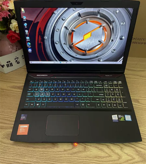 机械革命X2/8750H/GTX1060/...