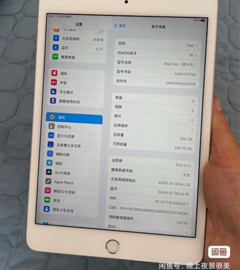收个iPad mini5/2019第九代 ...