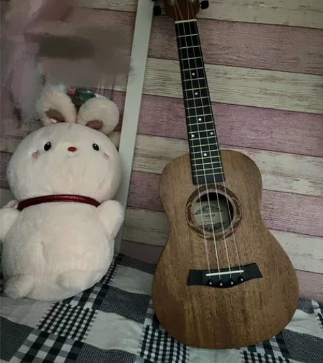 尤克里里，23寸，9成新送手册和包 感兴趣...