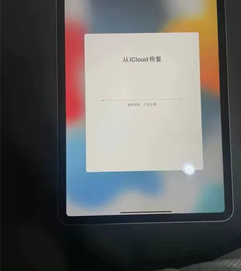 iPad 2020Wi-Fi 插卡256G...