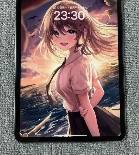 ipad pro2021款wifi版国行1...