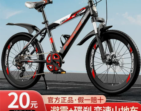 永久自行车 儿童6一8一12岁中大童男孩女...