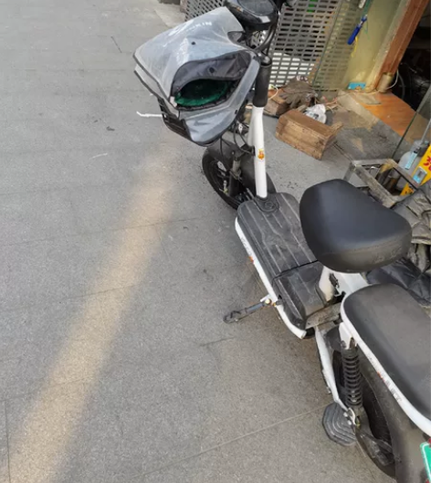 飞鸽电动车～图片实拍～三四个月准新车～电池...