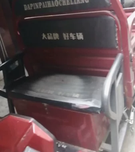大品牌飞鸽 感兴趣的话点“我想要”和我私聊...