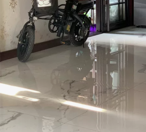 飞鸽电动车,已换高质量大电瓶,续航65公里...