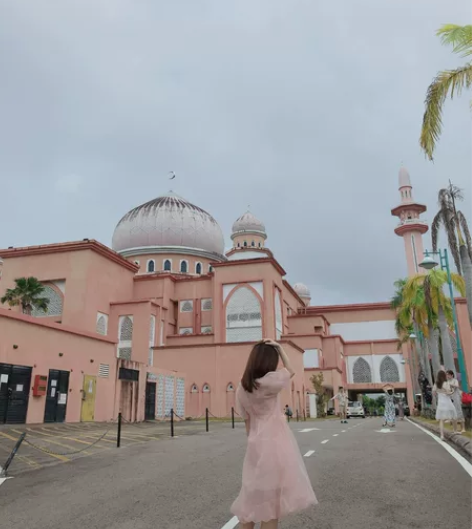 ?张大奕  粉色网纱连衣裙夏超仙短袖蓬蓬裙...