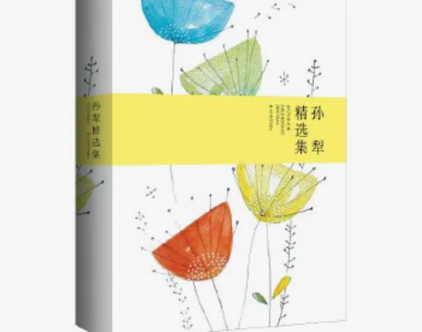 孙犁精选集（茅盾、贾平凹、铁凝等赞赏的“荷...