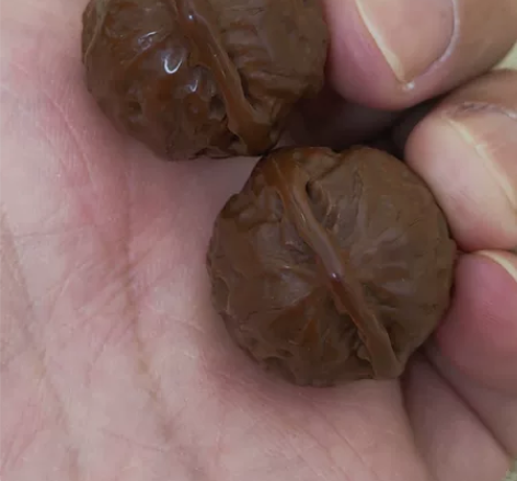 A010文玩核桃：26尺寸的可爱小海豚，全...