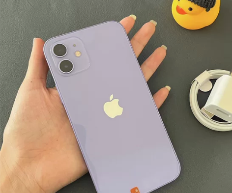 iPhone 12 5G全网通 有面容 配...