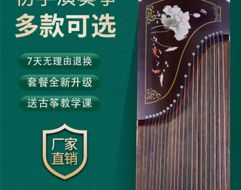 凤韵163古筝琴初学者入门儿童成人实木12...