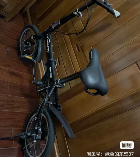 飞利浦自行车带双碟刹,原价599元,现在割...
