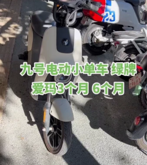 爱玛简易款 电动车 国标电动车 电动自行车...