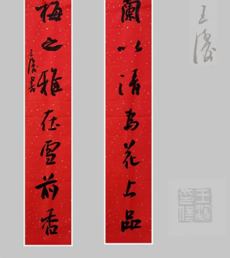 王涛   十二届十届九届国展获奖实力派书法...