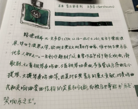 Diamine 戴阿米 音乐家 钢笔墨水 ...