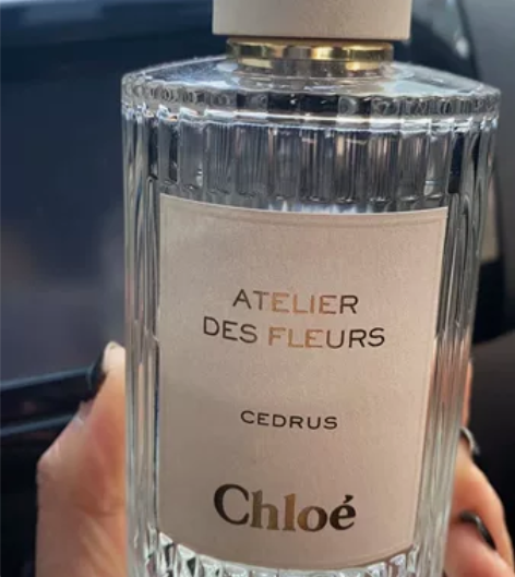Chloe cedrus蔻依仙境花园 北国...