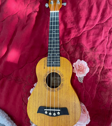 尤克里里 买来随便玩的,学不会,只用过...