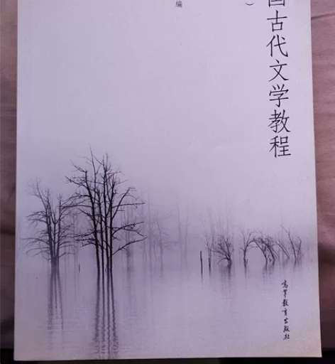 汉文专业专用,考研党必备书籍RMB:25 ...