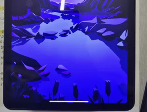 Apple/苹果 iPad Air4 20...