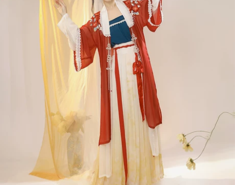 妃亦坊原创正品汉服女宋制对襟长衫百迭裙绣花...