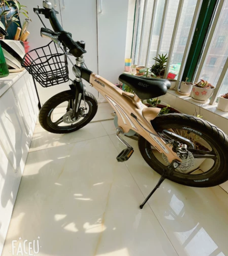 折叠自行车 可放后备箱带出去撒欢儿 非...