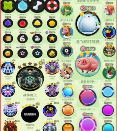 球球大作战:极品大白熊2级飞猪满级西瓜姑娘...