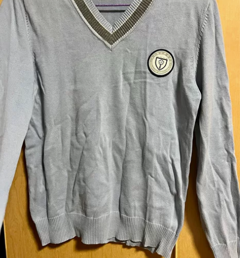 可搭jk针织衫V领毛衣南京旅游学院校服 忘...