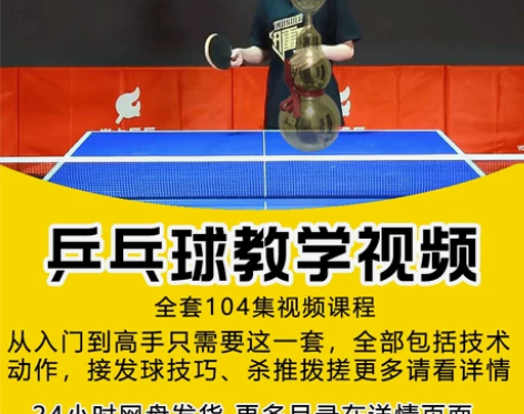乒乓球 教学视频教程少儿成人初学者自学入门...