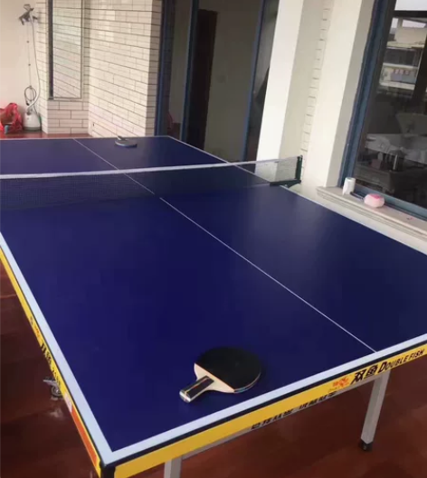 双鱼乒乓球桌室内可折叠家用乒乓球台移动标准...