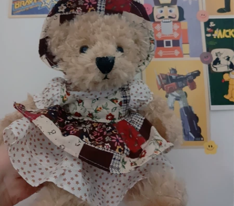 田园风泰迪熊，戴帽子，裙子可穿卸 毛毛很顺...