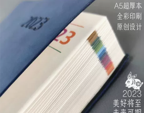 日记本 笔记本记事本日记本亿果笔记2023...