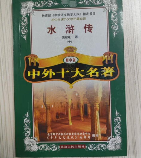 水浒传,捡到一只奇怪的小熊,世界历史大冒险...