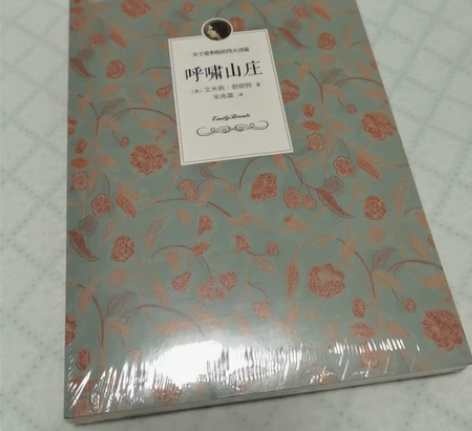 呼啸山庄，全新。 感兴趣的话点“我想要”和...