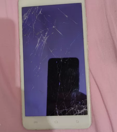 vivox6splus，32G内存的。屏幕...