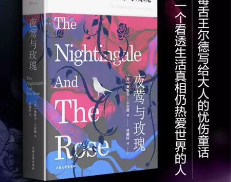 夜莺与玫瑰 (精装全译本) 王尔德世界名著...