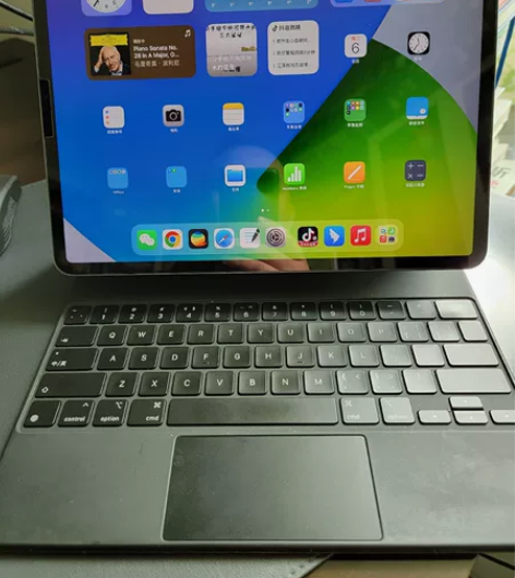 iPad Pro 12.4寸 256G 2...