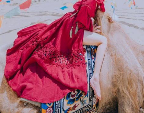 ?茶卡盐湖裙子红色草原沙漠长裙民族风连衣裙...