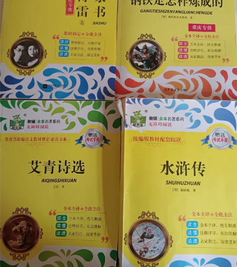 状元龙初中必读名著 水浒传/傅雷家书/钢铁...