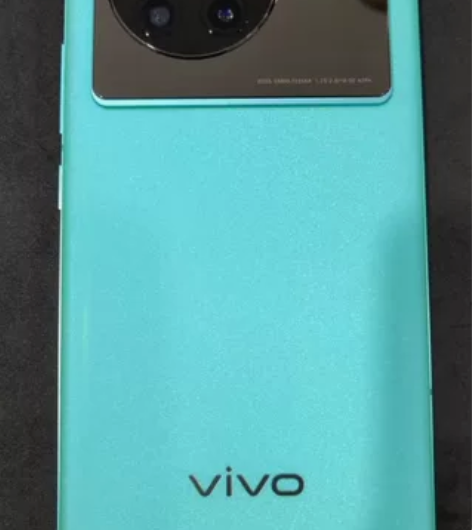 vivo旗舰x80准新机低价出售，假日色 ...