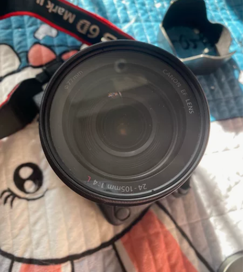 自定义99新自用 佳能镜头EF 24-10...