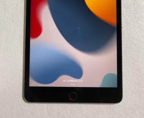 iPad mini5 2019款 256插...