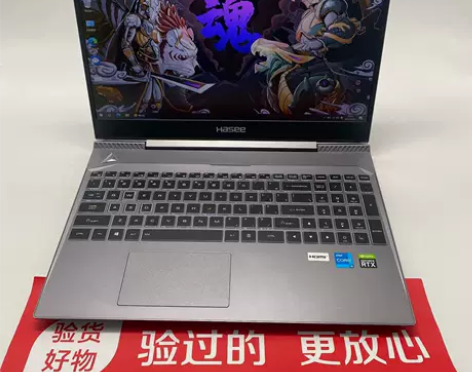 95新Hasee/神舟战神S7 i5-11...