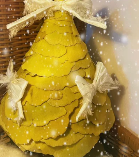 出自己 985英专 研究生 寒假在家 接线...