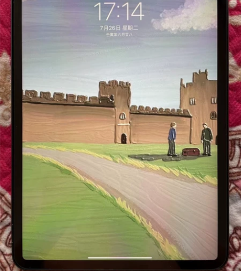 99新2021款M1芯片iPad Pro ...