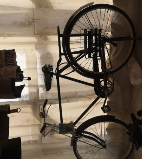 永久牌二八自行车，去年买的到货组装后试骑了...