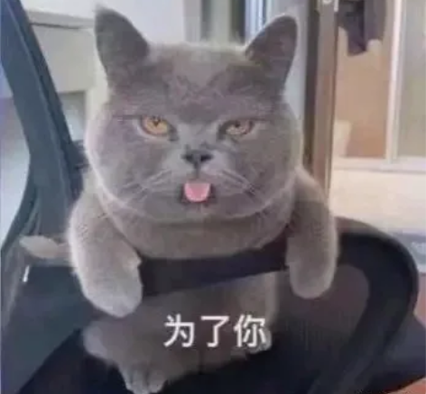 接JAVA项目开发,Python项目开发,...