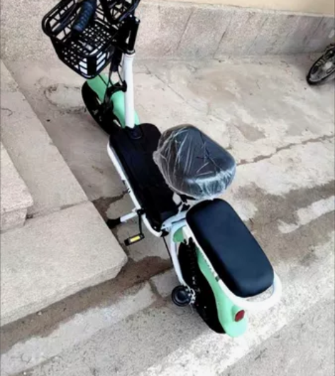 新国标可上牌电动自行车小金果电池可取电瓶车...