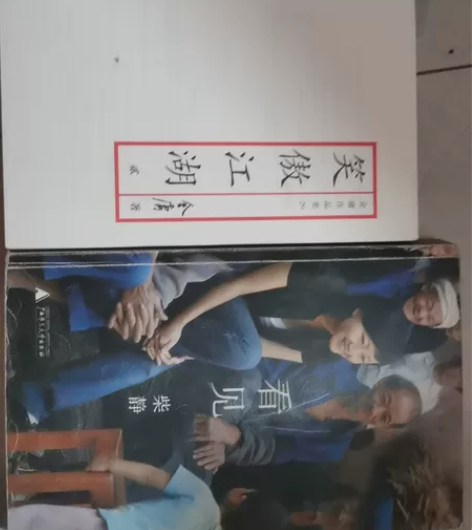 文学作品《柴静看见》，金庸的《笑傲江湖》 ...