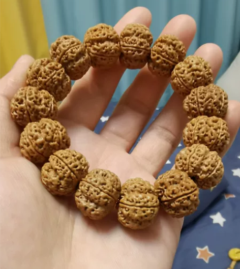 原生态古龙大梅花2.0尺寸，五面十龙，10...