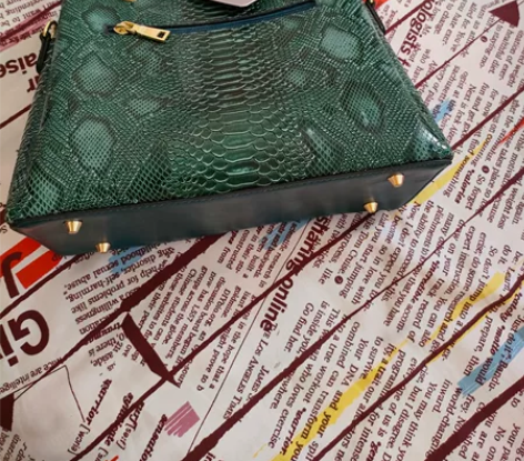 女士拎包挎包，家里人买的全新带吊牌，没有用...